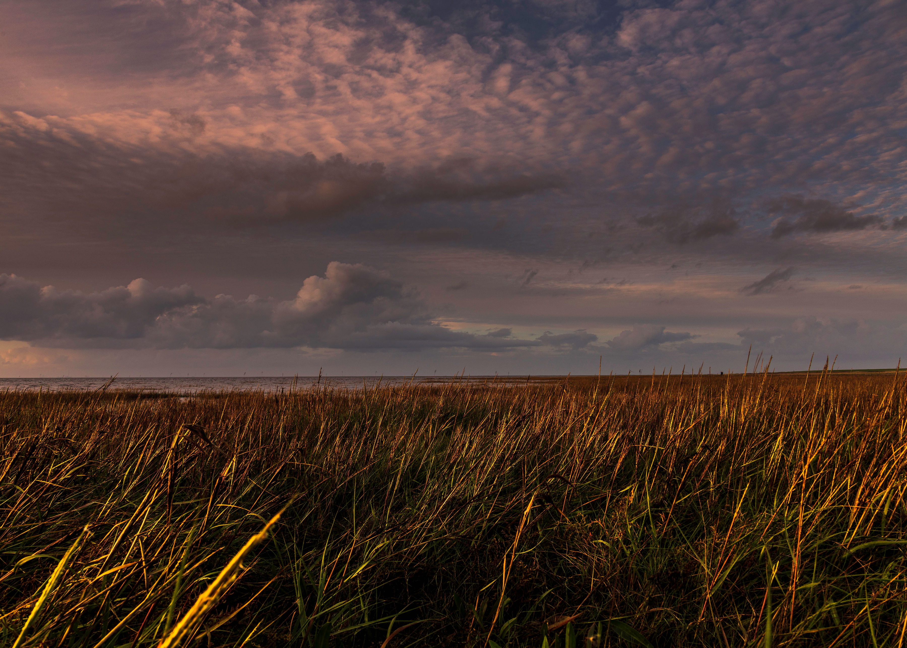 vadehavet-fanoe-jylland