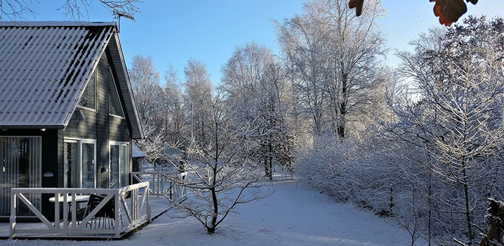 Vinter Sommerhus Sne