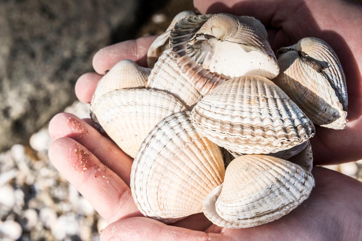 2018 Bijzonder Plekje Fur Eiland Denemarken 38 1200Px
