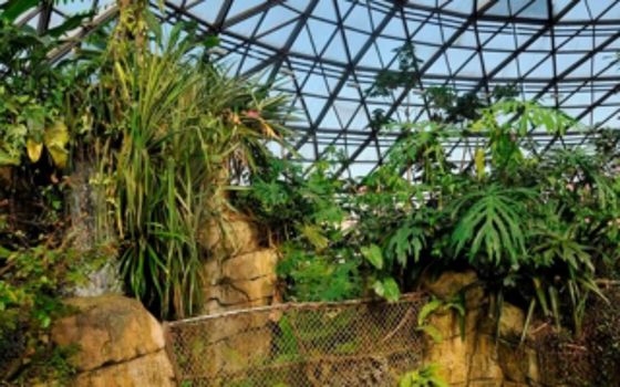 Randers Regnskov (1)